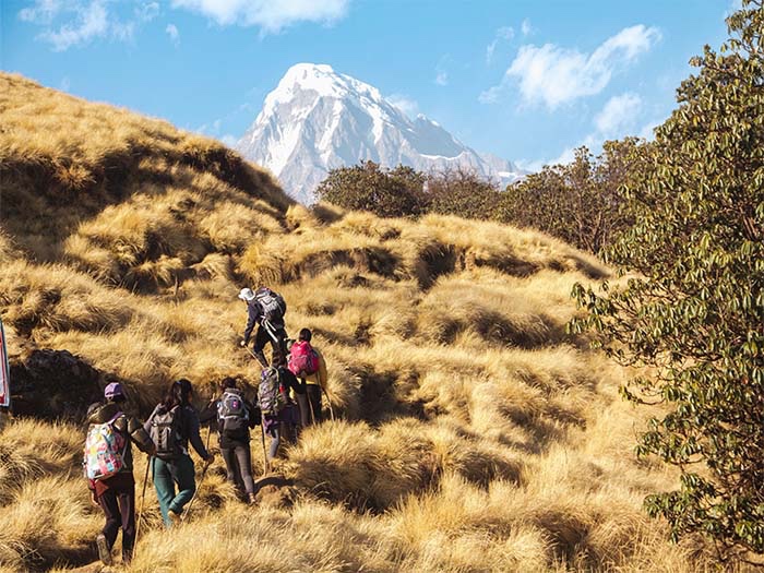 Nepal Solo Trekking: Why It’s Banned and What to do Instead?