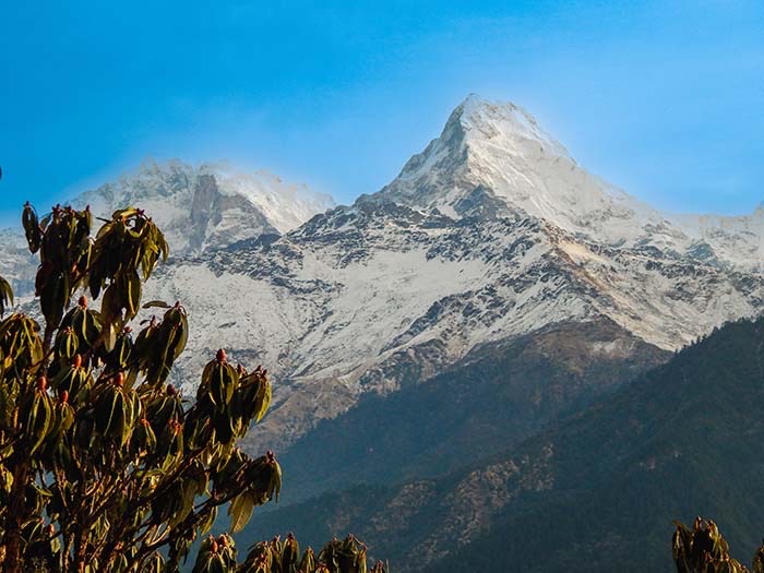 Ghorepani and Poonhill Trek